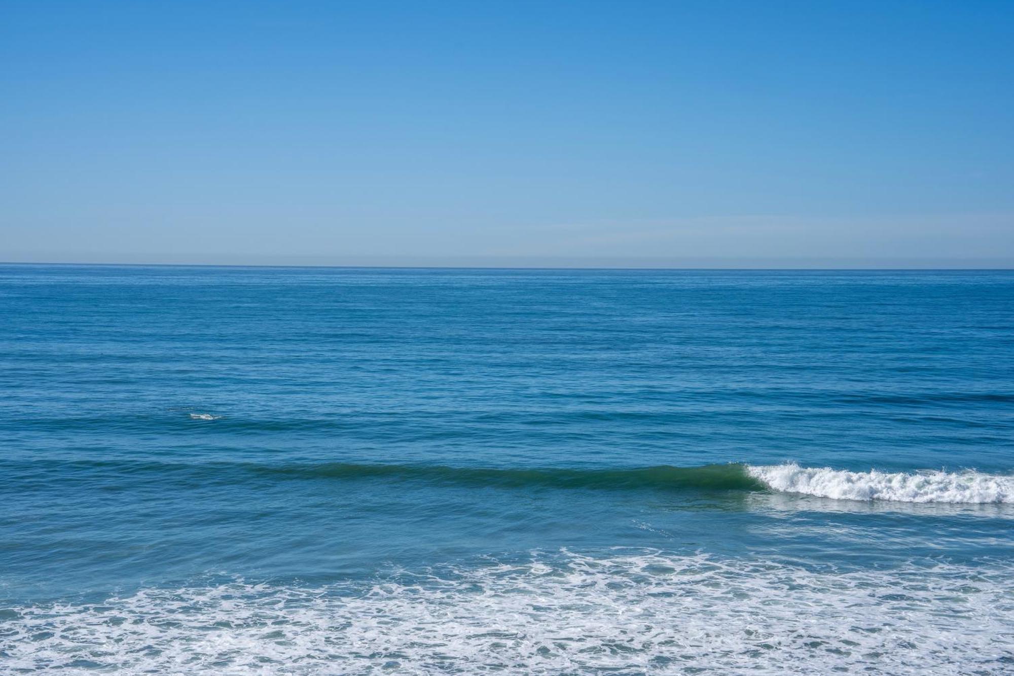 Beachfront Breathtaking 1 Bedroom Apt Tijuana Extérieur photo